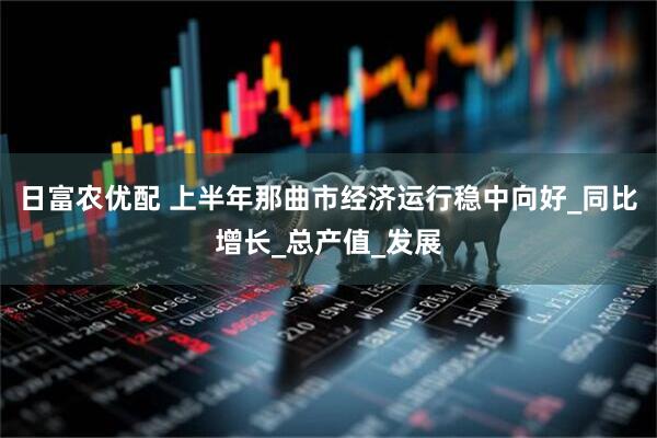日富农优配 上半年那曲市经济运行稳中向好_同比增长_总产值_发展
