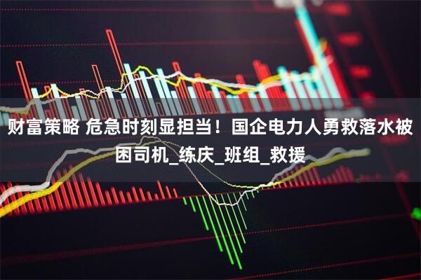 财富策略 危急时刻显担当！国企电力人勇救落水被困司机_练庆_班组_救援